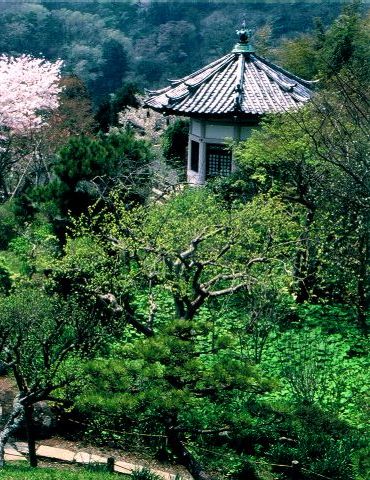 らい亭本館2階席から望む桜の季節の庭園